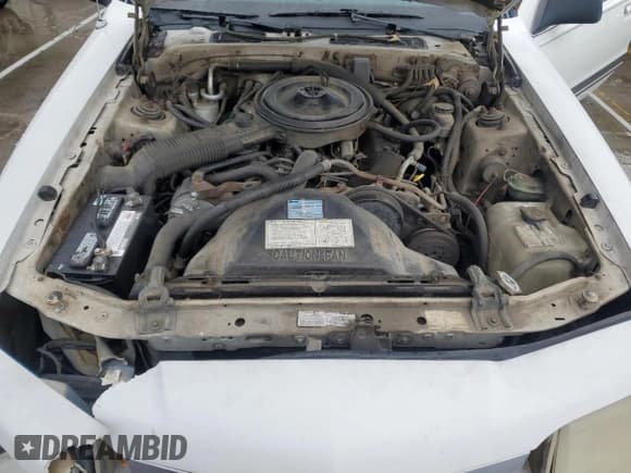 ✅ 1987 Ford Thunderbird • VIN: 1FABP6033HH186394 • Lot: 51699135. Listed on Copart with 86,393 mi. Free auction sales archive from the USA and detailed vehicle history report at DreamBid. Image 11.