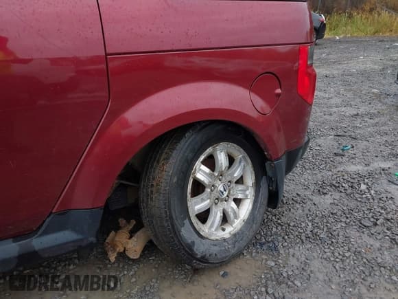 ✅ 2008 Honda Element EX • VIN: 5J6YH287X8L008684 • Lot: 43550333. Listed on IAAI with 165,210 mi. Free auction sales archive from the USA and detailed vehicle history report at DreamBid. Image 6.