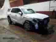 2024 Hyundai Palisade SEL с VIN KM8R2DGE5RU789080, выставлен на аукционе Copart как лот 76793834 с пробегом 12 308 миль миль и Списание • Salvage title. История ставок и продаж доступна на DreamBid. Изображение 4.