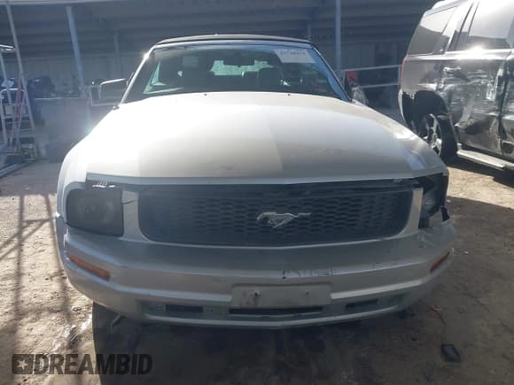 ✅ 2007 Ford Mustang Deluxe • VIN: 1ZVFT84N375205957 • Lot: 41728914. Listed on IAAI with Not provided. Free auction sales archive from the USA and detailed vehicle history report at DreamBid. Image 12.
