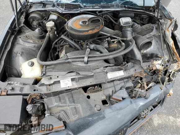 ✅ 1983 Pontiac Firebird • VIN: 1G2AW87H5DN231857 • Lot: 56677615. Listed on Copart with 45,798 mi. Free auction sales archive from the USA and detailed vehicle history report at DreamBid. Image 11.