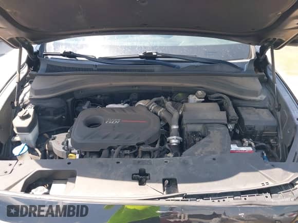 2019 Hyundai Santa Fe Limited с VIN 5NMS53AA5KH075623, выставлен на аукционе IAAI как лот 43081062 с пробегом 90 722 миль миль и . История ставок и продаж доступна на DreamBid. Изображение 10.