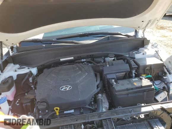 ✅ 2024 Hyundai Palisade Calligraphy • VIN: KM8R74GE6RU669371 • Лот: 74939094. Размещён на Copart с пробегом 7 901 миль миль. Получите бесплатный доступ к архиву аукционных продаж из США и посмотрите подробный отчёт об истории автомобиля на DreamBid. Изображение 12.