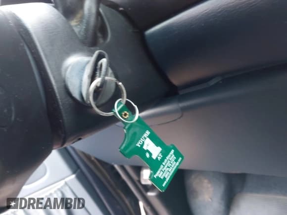 ✅ 1997 Ford Econoline Wagon XL • VIN: 1FBJS31L0VHA00828 • Lot: 41469233. Wystawiony na IAAI z przebiegiem 62 532 mil. Bezpłatny archiwum sprzedaży aukcyjnych z USA i szczegółowy raport historii pojazdu na DreamBid. Zdjęcie 11.