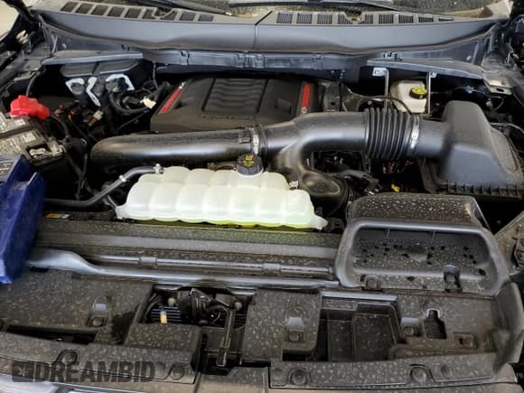 ✅ 2025 Ford F-150 Raptor • VIN: 1FTFW1RG6SFB42822 • Lot: 69957535. Wystawiony na Copart z przebiegiem 2 798 mil. Bezpłatny archiwum sprzedaży aukcyjnych z USA i szczegółowy raport historii pojazdu na DreamBid. Zdjęcie 11.