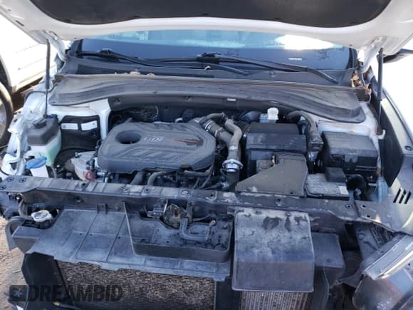 ✅ 2019 Hyundai Santa Fe Limited • VIN: 5NMS53AA3KH056925 • Lot: 41191703. Wystawiony na Copart z przebiegiem 78 203 mil. Bezpłatny archiwum sprzedaży aukcyjnych z USA i szczegółowy raport historii pojazdu na DreamBid. Zdjęcie 11.