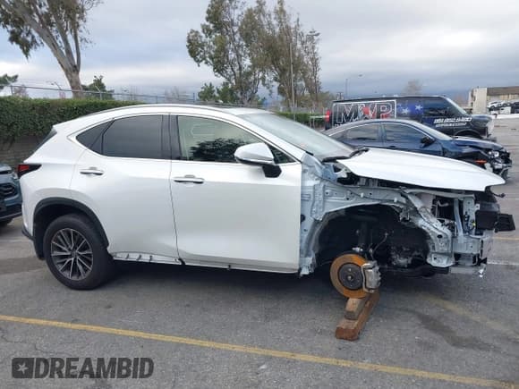 ✅ 2024 Lexus NX 250 • VIN: JTJADCAZ4R2013677 • Лот: 41548654. Опубликован ранее на IAAI с пробегом 24 564 миль. Бесплатный доступ к архиву аукционных продаж из США и подробный отчёт об истории автомобиля на DreamBid. Изображение 14.