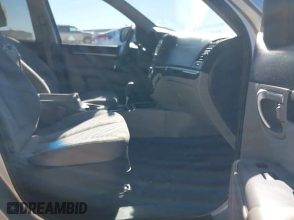 ✅ 2009 Hyundai Santa Fe GLS • VIN: 5NMSG13D99H251041 • Lot: 43546618. Listed on IAAI with 185,477 mi. Free auction sales archive from the USA and detailed vehicle history report at DreamBid. Image 5.
