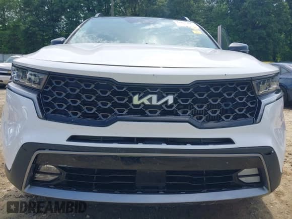 ✅ 2022 Kia Sorento X-Line EX • VIN: 5XYRHDLF7NG149790 • Лот: 42275530. Опубликован ранее на IAAI с пробегом 52 462 миль. Бесплатный доступ к архиву аукционных продаж из США и подробный отчёт об истории автомобиля на DreamBid. Изображение 6.