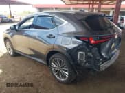 ✅ 2022 Lexus NX 350h Luxury • VIN: JTJHKCEZ8N2004991 • Lot: 43019001. Wystawiony na IAAI z przebiegiem 34 328 mil. Bezpłatny archiwum sprzedaży aukcyjnych z USA i szczegółowy raport historii pojazdu na DreamBid. Zdjęcie 3.