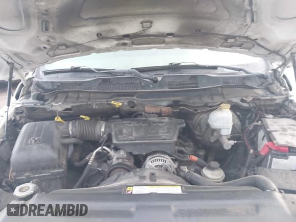 ✅ 2010 Dodge 1500 ST • VIN: 1D7RV1GP6AS233393 • Lot: 42378860. Wystawiony na IAAI z przebiegiem 276 350 mil. Bezpłatny archiwum sprzedaży aukcyjnych z USA i szczegółowy raport historii pojazdu na DreamBid. Zdjęcie 10.