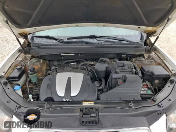 2010 Hyundai Santa Fe GL with VIN 5NMSGDAG8AH359573, listed as a Copart auction lot 58688525 with 208,591 mi miles and Salvage title. Bid and sale history available at DreamBid. Image 12.