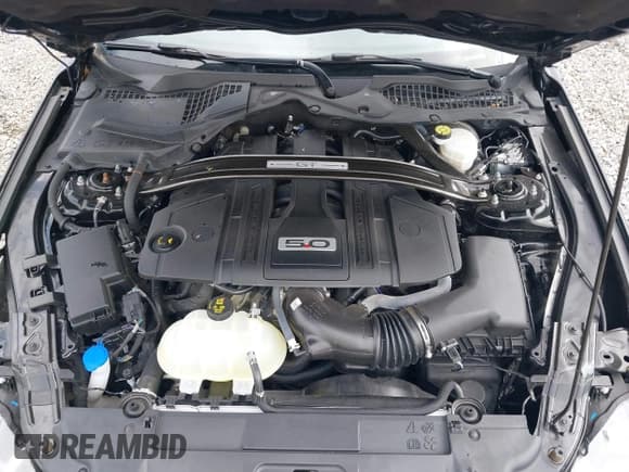 ✅ 2022 Ford Mustang GT • VIN: 1FA6P8CF4N5144803 • Lot: 42818749. Listed on IAAI with 22,945 mi. Free auction sales archive from the USA and detailed vehicle history report at DreamBid. Image 10.