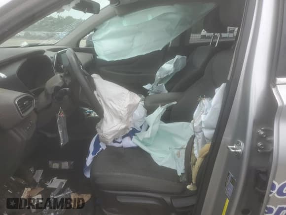 ✅ 2020 Hyundai Santa Fe SE • VIN: 5NMS2CAD3LH275128 • Lot: 58137955. Wystawiony na Copart z przebiegiem Nie podano. Bezpłatny archiwum sprzedaży aukcyjnych z USA i szczegółowy raport historii pojazdu na DreamBid. Zdjęcie 7.