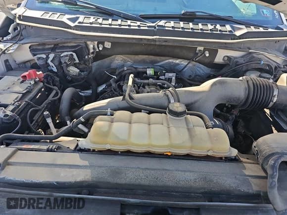 ✅ 2019 Ford F-150 XL • VIN: 1FTEX1EP6KKE99861 • Lot: 43944773. Wystawiony na IAAI z przebiegiem 195 197 mil. Bezpłatny archiwum sprzedaży aukcyjnych z USA i szczegółowy raport historii pojazdu na DreamBid. Zdjęcie 6.