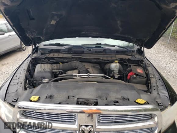 ✅ 2009 Dodge 1500 SLT • VIN: 1D3HV13T19S702739 • Lot: 55923585. Wystawiony na Copart z przebiegiem 125 251 mil. Bezpłatny archiwum sprzedaży aukcyjnych z USA i szczegółowy raport historii pojazdu na DreamBid. Zdjęcie 11.