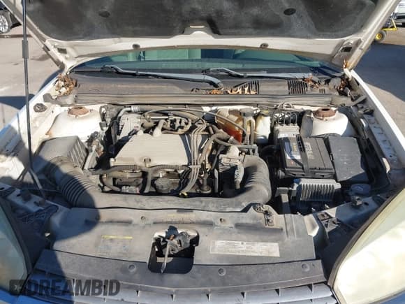 ✅ 2004 Chevrolet Malibu LS • VIN: 1G1ZT52884F227284 • Lot: 43663518. Listed on IAAI with 113,663 mi. Free auction sales archive from the USA and detailed vehicle history report at DreamBid. Image 10.