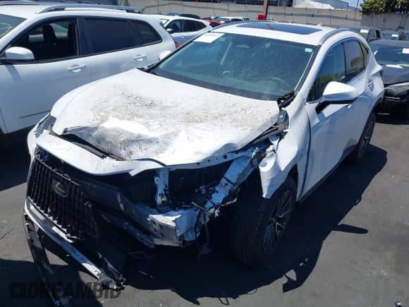 ✅ 2025 Lexus NX 250 • VIN: 2T2ADCAZ1SC025730 • Lot: 42605987. Wystawiony na IAAI z przebiegiem 697 mil. Bezpłatny archiwum sprzedaży aukcyjnych z USA i szczegółowy raport historii pojazdu na DreamBid. Zdjęcie 23.