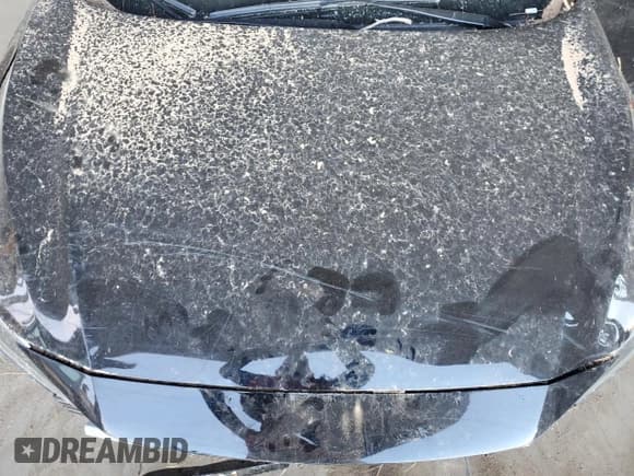 ✅ 2024 Nissan Sentra S • VIN: 3N1AB8BVXRY384753 • Lot: 82548575. Listed on Copart with Not provided. Free auction sales archive from the USA and detailed vehicle history report at DreamBid. Image 11.