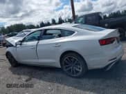 ✅ 2019 Audi S5 Sportback Prestige • VIN: WAUC4CF59KA026631 • Lot: 42305763. Wystawiony na IAAI z przebiegiem 38 716 mil. Bezpłatny archiwum sprzedaży aukcyjnych z USA i szczegółowy raport historii pojazdu na DreamBid. Zdjęcie 14.