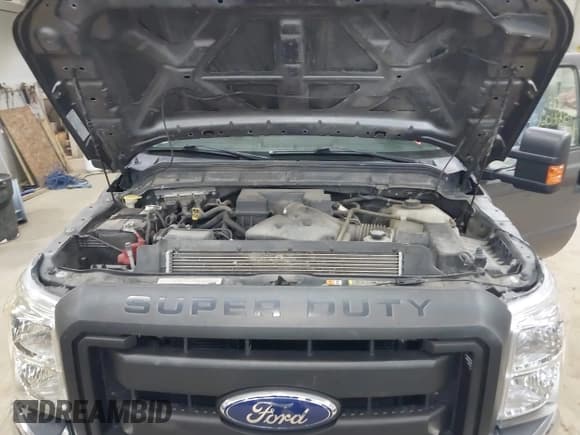 ✅ 2011 Ford F-250 XL • VIN: 1FTBF2B65BEB37316 • Lot: 43604289. Wystawiony na IAAI z przebiegiem 45 079 mil. Bezpłatny archiwum sprzedaży aukcyjnych z USA i szczegółowy raport historii pojazdu na DreamBid. Zdjęcie 10.