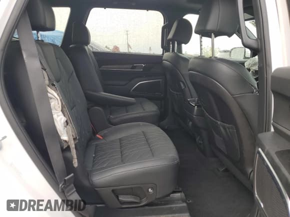 ✅ 2024 Kia Telluride SX • VIN: 5XYP5DGC6RG549023 • Lot: 81596325. Wystawiony na Copart z przebiegiem 8 059 mil. Bezpłatny archiwum sprzedaży aukcyjnych z USA i szczegółowy raport historii pojazdu na DreamBid. Zdjęcie 11.