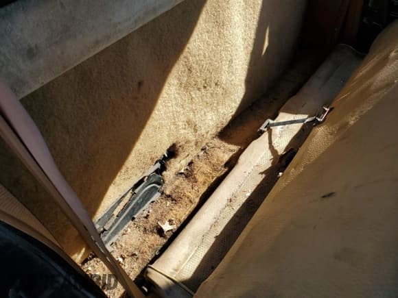 ✅ 1988 Chevrolet S-10 X96 • VIN: 1GCCS14Z6J8189519 • Лот: 78000424. Опубликован ранее на Copart с пробегом 211 374 миль. Бесплатный доступ к архиву аукционных продаж из США и подробный отчёт об истории автомобиля на DreamBid. Изображение 11.