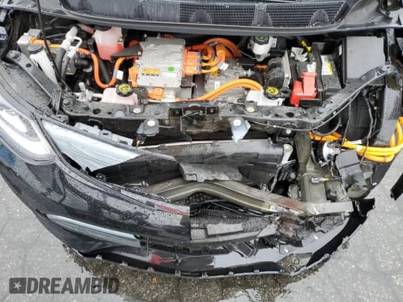 2018 Chevrolet Bolt EV LT z VIN 1G1FW6S05J4139858, wystawiony jako Copart lot #41130174 z przebiegiem 48 722 mil mil oraz . Historia ofert i sprzedaży dostępna na DreamBid. Obrazek 11.