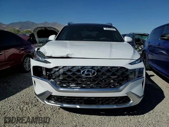 ✅ 2023 Hyundai Santa Fe Calligraphy • VIN: 5NMS5DAL4PH644170 • Lot: 81694475. Wystawiony na Copart z przebiegiem 10 258 mil. Bezpłatny archiwum sprzedaży aukcyjnych z USA i szczegółowy raport historii pojazdu na DreamBid. Zdjęcie 13.