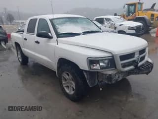 ✅ 2010 Dodge Dakota Bighorn/Lonestar • VIN: 1D7CW3GK0AS228256 • Lot: 41552140. Wystawiony na IAAI z przebiegiem 195 566 mil. Bezpłatny archiwum sprzedaży aukcyjnych z USA i szczegółowy raport historii pojazdu na DreamBid. Zdjęcie 1.