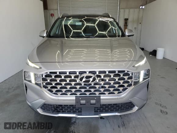 ✅ 2023 Hyundai Santa Fe Limited • VIN: 5NMS4DAL4PH532925 • Lot: 56900325. Wystawiony na Copart z przebiegiem 44 116 mil. Bezpłatny archiwum sprzedaży aukcyjnych z USA i szczegółowy raport historii pojazdu na DreamBid. Zdjęcie 5.