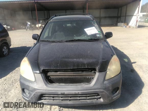 ✅ 2005 Honda CR-V EX • VIN: SHSRD78875U347115 • Lot: 43344314. Listed on IAAI with 265,975 mi. Free auction sales archive from the USA and detailed vehicle history report at DreamBid. Image 12.