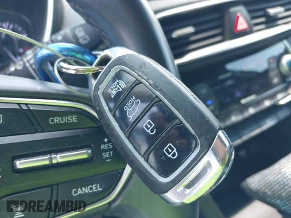 2019 Hyundai Santa Fe Limited с VIN 5NMS53AA5KH075623, выставлен на аукционе IAAI как лот 43081062 с пробегом 90 722 миль миль и . История ставок и продаж доступна на DreamBid. Изображение 11.