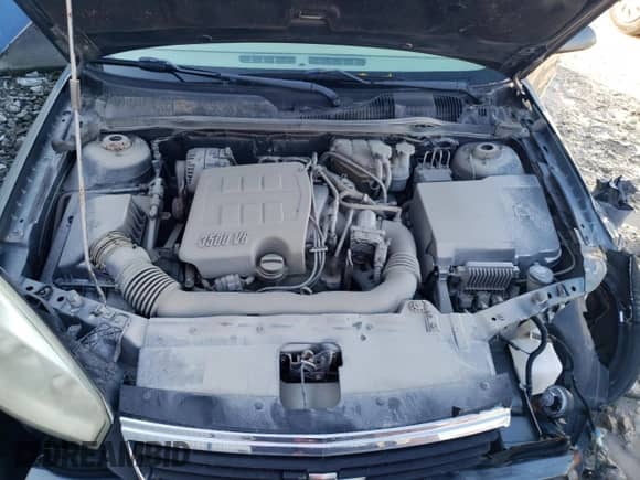 2006 Chevrolet Malibu Maxx LT с VIN 1G1ZT61826F259514, выставлен на аукционе Copart как лот 39458714 с пробегом Не указан миль и Списание • Salvage title. История ставок и продаж доступна на DreamBid. Изображение 11.