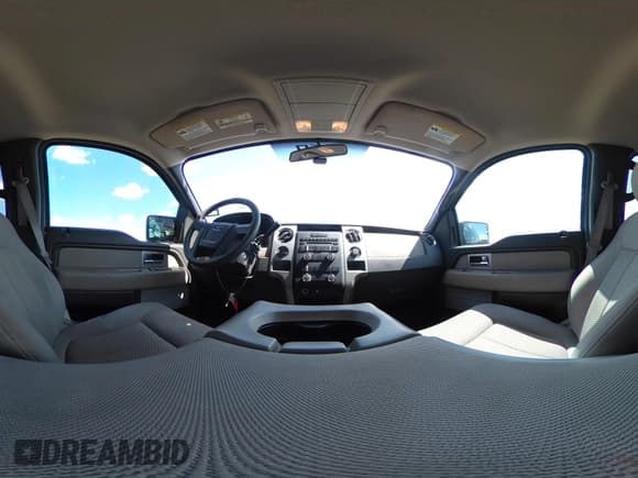 ✅ 2010 Ford F-150 XL • VIN: 1FTEW1C86AFA09862 • Lot: 42776236. Listed on IAAI with 142,387 mi. Free auction sales archive from the USA and detailed vehicle history report at DreamBid. Image 18.