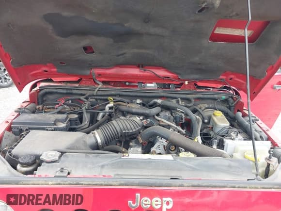 ✅ 2010 Jeep Wrangler Sahara • VIN: 1J4GA5D16AL178551 • Лот: 42473281. Опубликован ранее на IAAI с пробегом 110 170 миль. Бесплатный доступ к архиву аукционных продаж из США и подробный отчёт об истории автомобиля на DreamBid. Изображение 10.