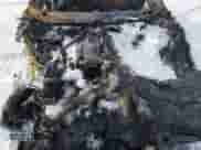 1990 Chevrolet Corvette z VIN 1G1YY3381L5118833, wystawiony jako Copart lot #87943005 z przebiegiem Nie podano mil oraz Nie do naprawy • Non repairable. Historia ofert i sprzedaży dostępna na DreamBid. Obrazek 11.