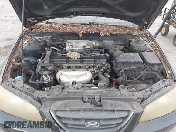 ✅ 2005 Hyundai Elantra GLS • VIN: KMHDN46D25U077064 • Lot: 43613655. Wystawiony na IAAI z przebiegiem 191 347 mil. Bezpłatny archiwum sprzedaży aukcyjnych z USA i szczegółowy raport historii pojazdu na DreamBid. Zdjęcie 10.