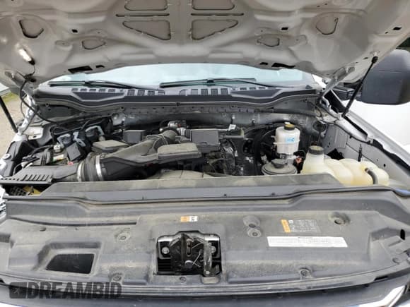 ✅ 2021 Ford F-250 XL • VIN: 1FT7W2A62MEC51039 • Lot: 50274814. Wystawiony na Copart z przebiegiem 49 175 mil. Bezpłatny archiwum sprzedaży aukcyjnych z USA i szczegółowy raport historii pojazdu na DreamBid. Zdjęcie 7.