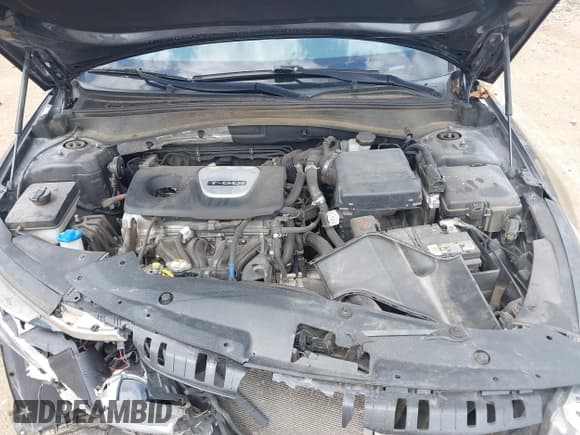 ✅ 2016 Kia Optima LX Turbo • VIN: 5XXGT4L10GG012417 • Lot: 42885999. Wystawiony na IAAI z przebiegiem 208 223 mil. Bezpłatny archiwum sprzedaży aukcyjnych z USA i szczegółowy raport historii pojazdu na DreamBid. Zdjęcie 14.