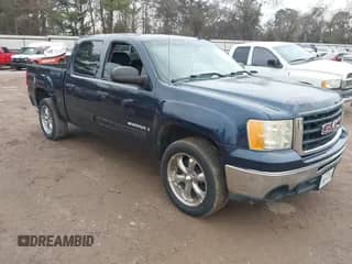 2009 GMC Sierra 1500 SL with VIN 3GTEC13C09G252848, listed as a IAAI auction lot 41576576 with 248,336 mi miles and . Bid and sale history available at DreamBid. Image 1.