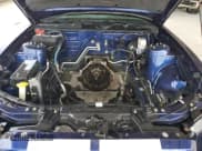 ✅ 2010 Ford Mustang GT500 • VIN: 1ZVBP8JSXA5160889 • Лот: 69408854. Опубликован ранее на Copart с пробегом 64 588 миль. Бесплатный доступ к архиву аукционных продаж из США и подробный отчёт об истории автомобиля на DreamBid. Изображение 11.