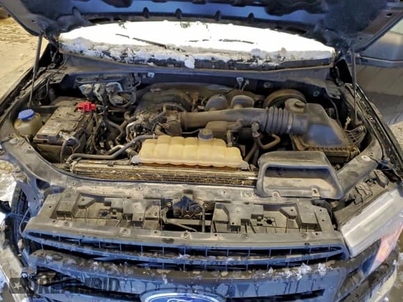 ✅ 2019 Ford F-150 XL • VIN: 1FTMF1CB2KKD95373 • Lot: 94702455. Listed on Copart with 178,959 mi. Free auction sales archive from the USA and detailed vehicle history report at DreamBid. Image 11.