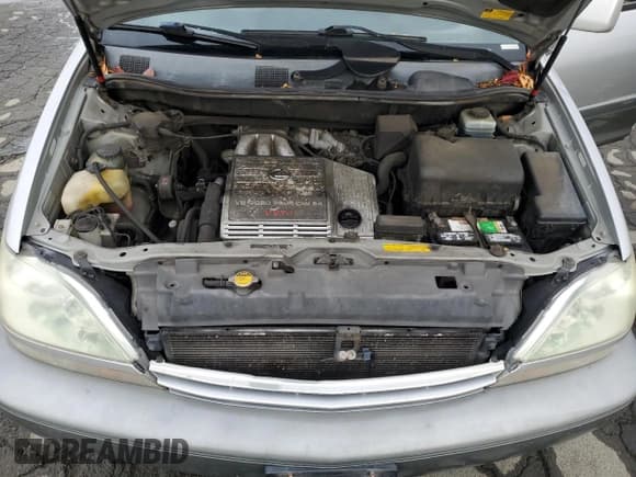 ✅ 2002 Lexus RX 300 • VIN: JTJGF10U920130025 • Lot: 86545835. Wystawiony na Copart z przebiegiem 221 082 mil. Bezpłatny archiwum sprzedaży aukcyjnych z USA i szczegółowy raport historii pojazdu na DreamBid. Zdjęcie 12.