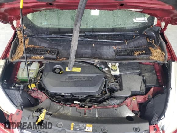 ✅ 2013 Ford Escape SE • VIN: 1FMCU0GX0DUD63803 • Лот: 55915525. Опубликован ранее на Copart с пробегом 138 742 миль. Бесплатный доступ к архиву аукционных продаж из США и подробный отчёт об истории автомобиля на DreamBid. Изображение 12.