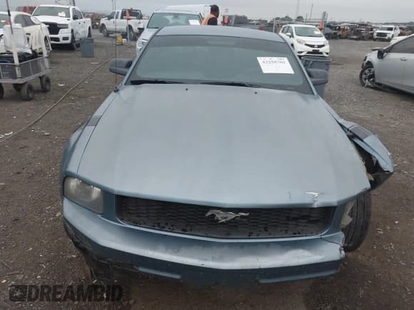 ✅ 2005 Ford Mustang Deluxe • VIN: 1ZVFT80N055108069 • Лот: 43258701. Опубликован ранее на IAAI с пробегом 253 074 миль. Бесплатный доступ к архиву аукционных продаж из США и подробный отчёт об истории автомобиля на DreamBid. Изображение 6.