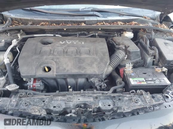 ✅ 2010 Toyota Corolla • VIN: 1NXBU4EE0AZ232676 • Lot: 43900713. Listed on IAAI with 113,121 mi. Free auction sales archive from the USA and detailed vehicle history report at DreamBid. Image 10.