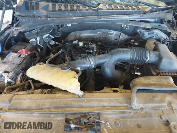 ✅ 2019 Ford F-150 XL • VIN: 1FTEW1EP2KFA12845 • Lot: 43234284. Wystawiony na IAAI z przebiegiem 153 970 mil. Bezpłatny archiwum sprzedaży aukcyjnych z USA i szczegółowy raport historii pojazdu na DreamBid. Zdjęcie 10.