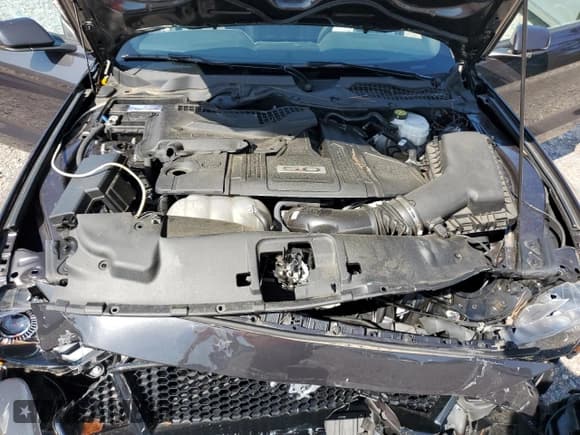 ✅ 2023 Ford Mustang GT • VIN: 1FA6P8CF4P5307162 • Lot: 64688555. Listed on Copart with 12,248 mi. Free auction sales archive from the USA and detailed vehicle history report at DreamBid. Image 11.