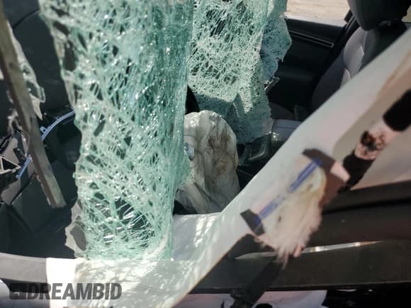 ✅ 2024 Hyundai Santa Cruz SEL • VIN: 5NTJC4DE8RH115570 • Лот: 66684675. Опубликован ранее на Copart с пробегом Не указан. Бесплатный доступ к архиву аукционных продаж из США и подробный отчёт об истории автомобиля на DreamBid. Изображение 7.